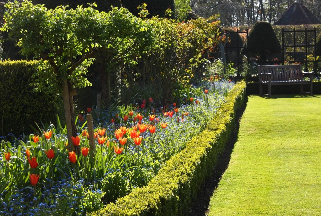 plant boundary landscaping finish in nz